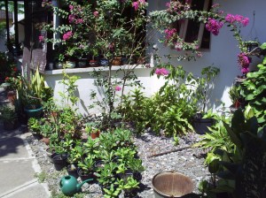 SAMSUNG DIGIMAX A403