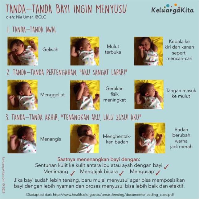 Tanda bayi lapar