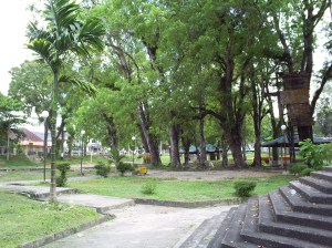 SAMSUNG DIGIMAX A403